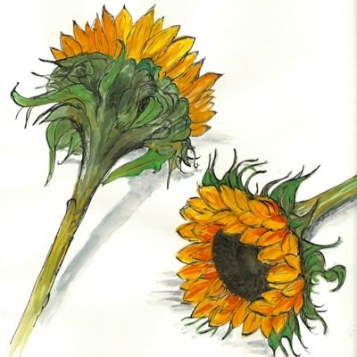 Writer, Anglican Reader, Spritual Accompanier, learning to draw and paint.