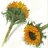 imogen_clout's profile image