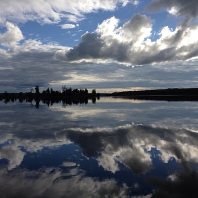 dts923's profile picture. Albertan working in O&G. No political affiliation. Despise hypocrisy.