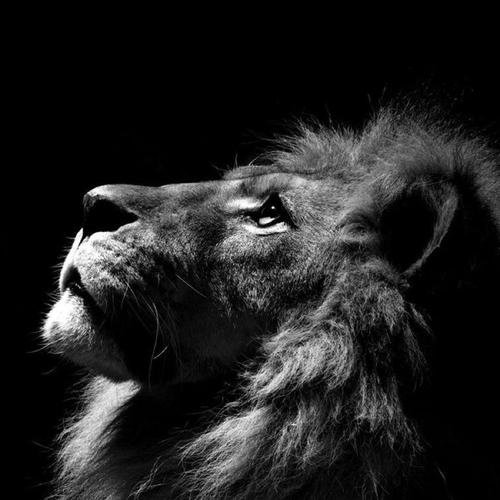 EyoelAsfaw's profile picture. 