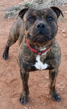 adelllledo's profile picture. 