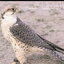 خالد الصقعبي (@0554166514) Twitter