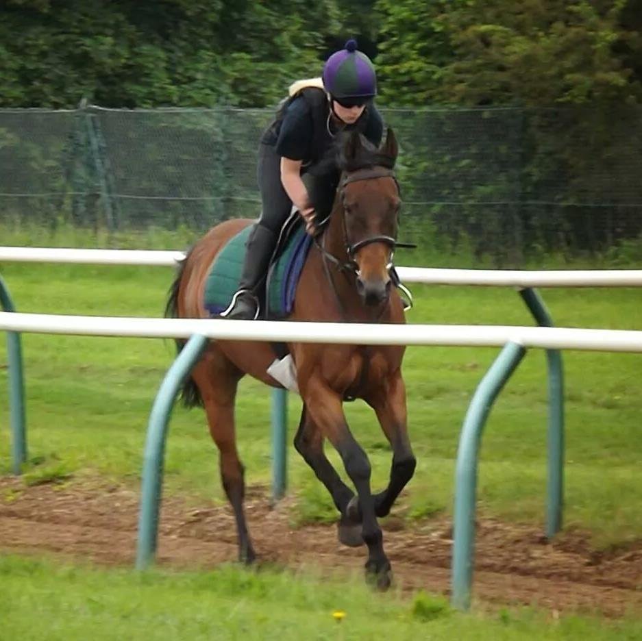 Horse racing enthusiast, loves going to the races, all views are my own. Will follow back!!