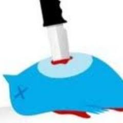 Twit.