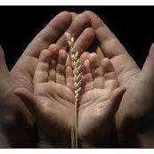 SDualar's profile picture. https://t.co/zE1F5OrIih