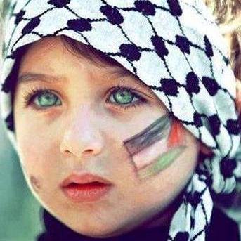 muhammed0331's profile picture. İAÜ Moleküler Biyoloji ve Genetik