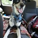 Keith Sander - @sander_keith - Twitter