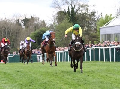 JPKennyracing's profile picture. Racehorse Trainer in Ireland