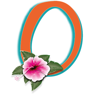 OHANAChiroSTL's profile picture. Chiropractic