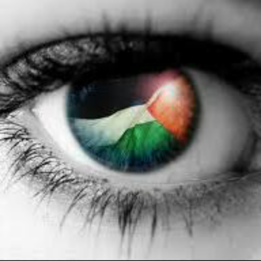 DockratM's profile picture. 