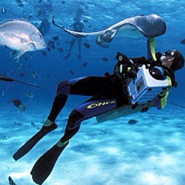 PetDetects's profile picture. 