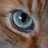 CJPowell905's avatar