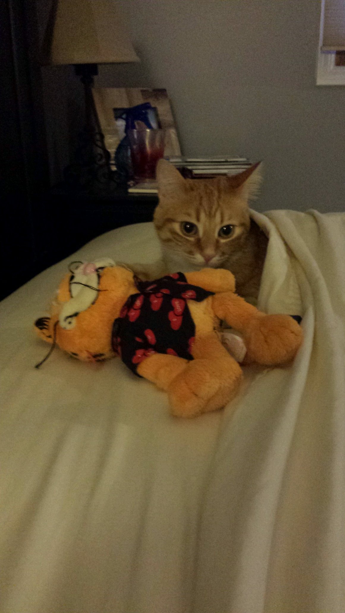 DianeStorako's profile picture. 