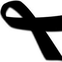 EcoOnlineAdvertising (@itcompanies) 's Twitter Profile