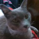 Andrea Luján - @andrea_lujn - Twitter