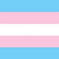 Transgender Activist(@ActivistTrans) 's Twitter Profile Photo