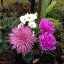 Emma Andersson - @Emma88Andersson - Twitter