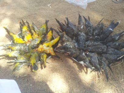 1qwer286's profile picture. عاااشق الصيد ..