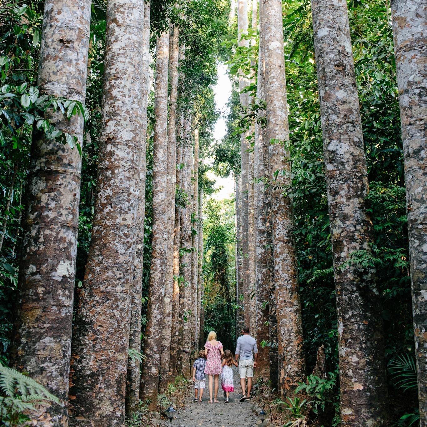 Paronella Park a completely unique experience blending nature, romance and historic architecture