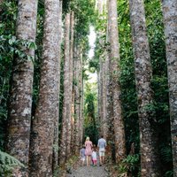 Paronella Park (@paronella) 's Twitter Profile