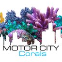 Joel Conklin - @motorcitycorals - Twitter