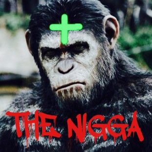 These apes ain't loyal bruh https://t.co/WmA0Uxn639