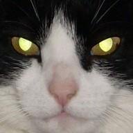 Skeptical blogger, defender of science and rationality.