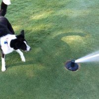 Brent Graham, CGCS (@bgrahamgolf) 's Twitter Profile Photo