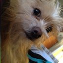 Sheila Ligon - @sligonaprn - Twitter