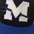 mhsblueathletic's profile image