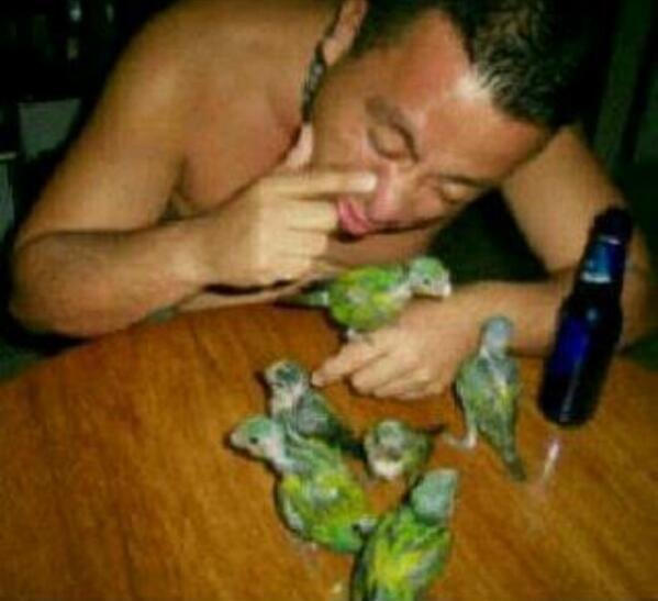 TuitGuapo's profile picture. 