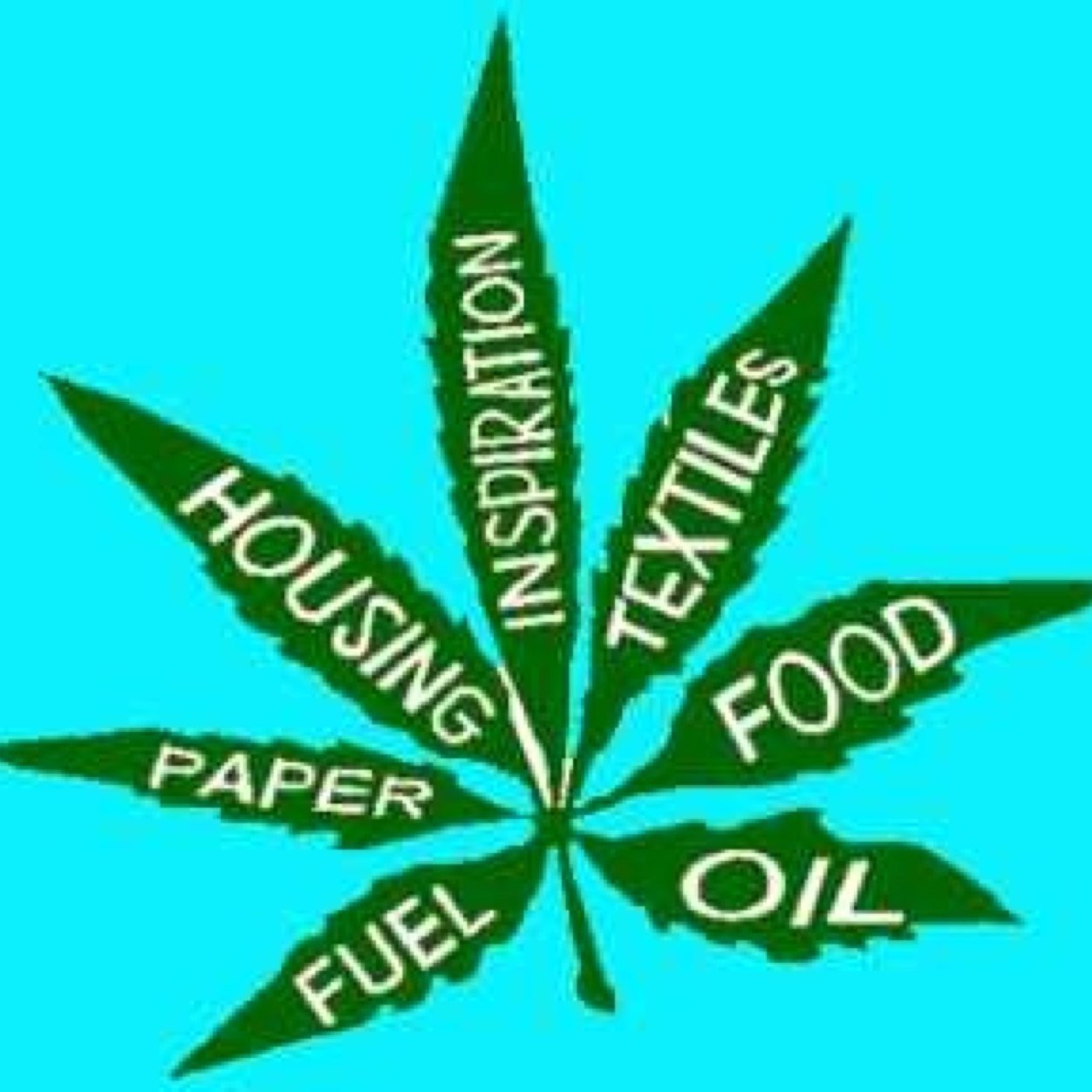 #hemp #cannabis #marijuana #medicalmarijuana #mmj #weed