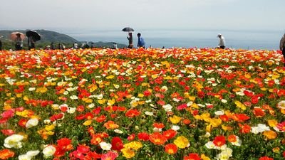 おかしな事にはおかしい！とハッキリ言える自分であり続けるために！ ！ 正直者がバカを見て異常者がのさばる世の中っておかしいよ！道義的責任が何か分からない自己保身のみ、自ら責任も取れないクズ男が大嫌い！！ 特定党なし。その都度、精査する。無言フォロー失礼します🙏サッカー⚽️日本代表を応援しています📣