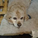 Colleen Ross - @cbres58 - Twitter