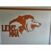 Lions MMA Leicester (@lionsmmalesta) Twitter profile photo