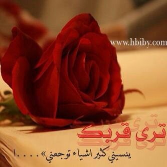 لا ابحث عن علاقات عذرا الخاص عندي مهمل