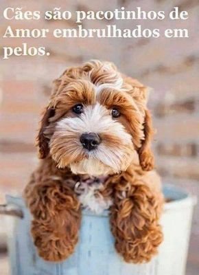 mariaaaalindaaa's profile picture. 