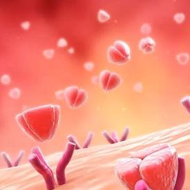 wedesignapps's profile picture. mobile App designer, app developer and user interface designer; 3D medical illustrations and motion graphics