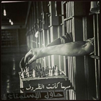 ‏اكره الرأي واحب الرأي الأخر….ملتزم جدا بتسليم الليل لنهار! '