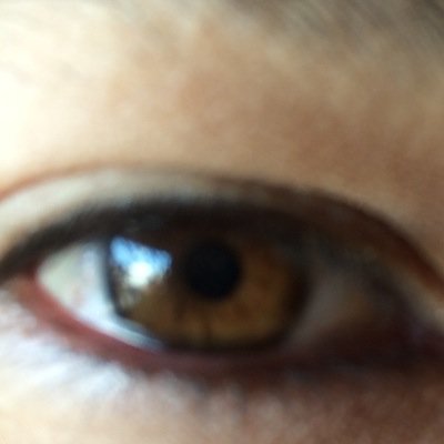 un_peluche's profile picture. 