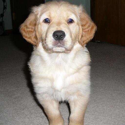 dylybs's profile picture. If u ever get a feeling that i hate u you're probably right