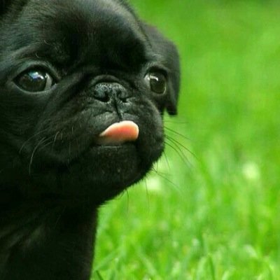 CreatorofEPICMC's profile picture. 