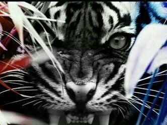 Hqalwahab's profile picture. 21 l MY