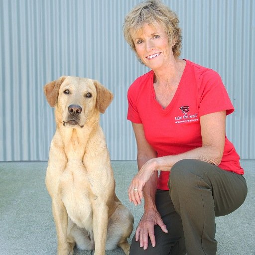 Providing coaching and mentorship to aspiring dog trainers/ dedicated dog owners