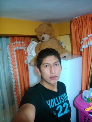 +59167089162 whatssapp