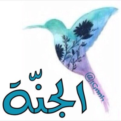 حسابي بالانستقراامamyrah123
