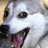 emalfaro77's profile image