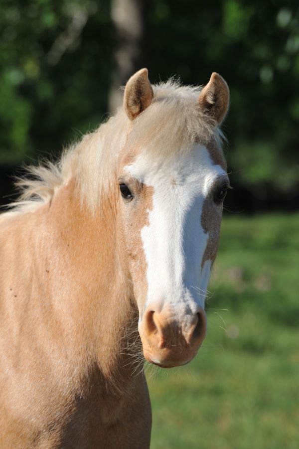 85Ayman1's profile picture. 