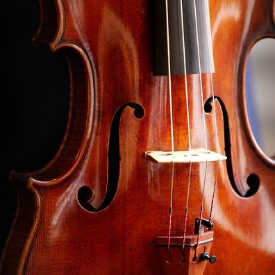 Things only violists understand. I tweet about music and life. Hope you enjoy. Proverbs 3:5-6