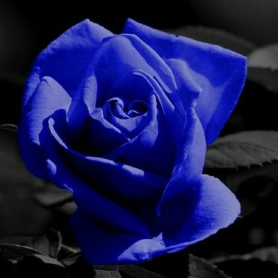 tmyoung6's profile picture. Im different but that ok cause everyone likes me.